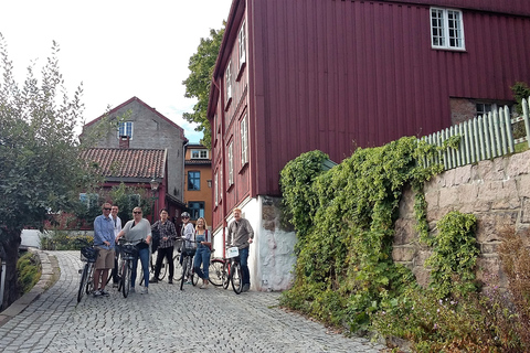 Authentic Oslo bike tour Oslo: Off-the-Beaten-Path Bike Tour