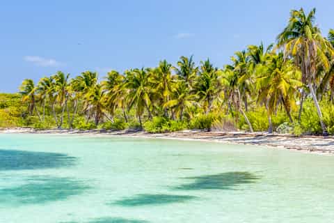 Van Cancun: Isla Contoy Halve dag tour