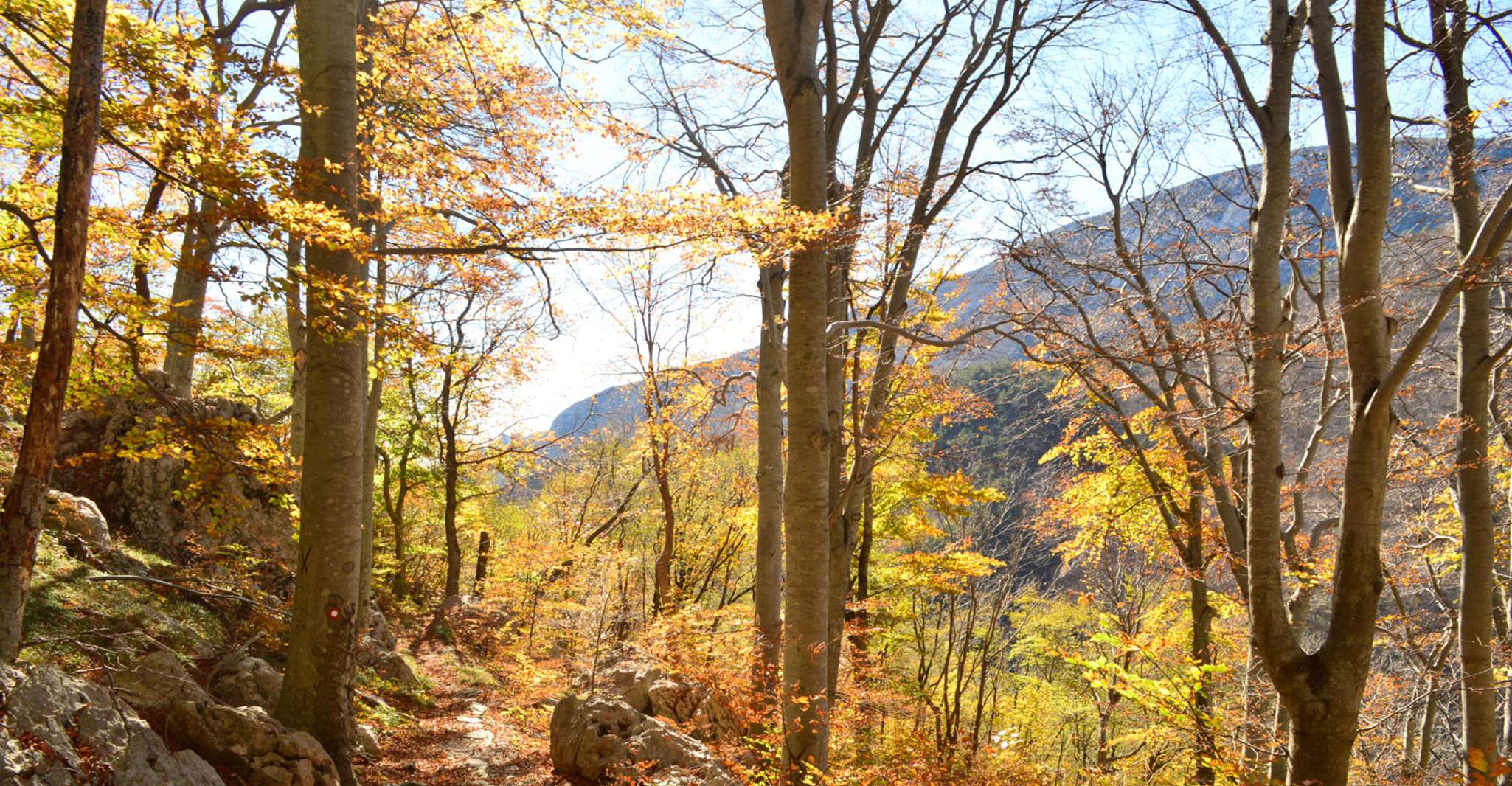 Da Novalja, escursione al Paklenica National Park - Housity