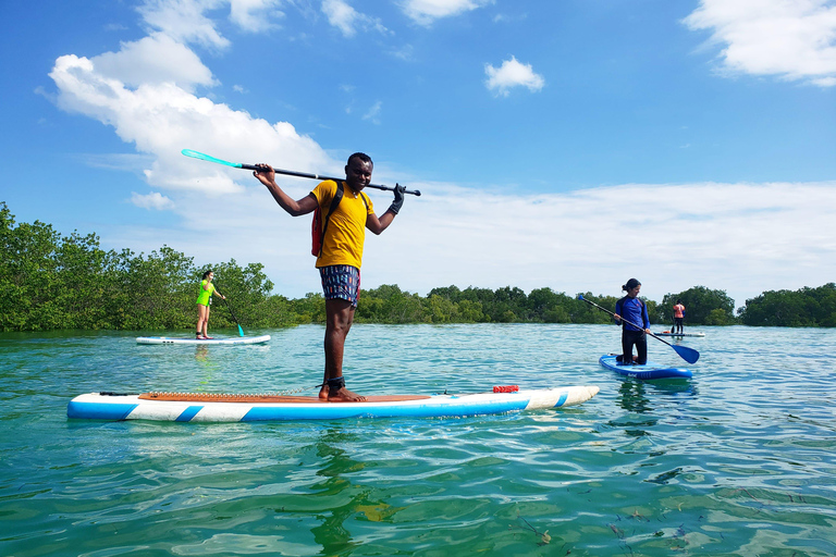 Zanzibar: Unik guidad mangrovetur med SUP eller kajak