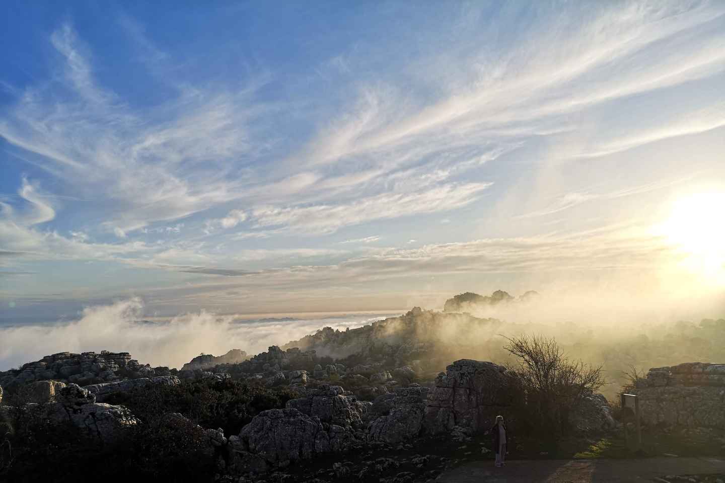 Málaga: Dólmenes y El Torcal de Antequera Excursión Guiada de un Día