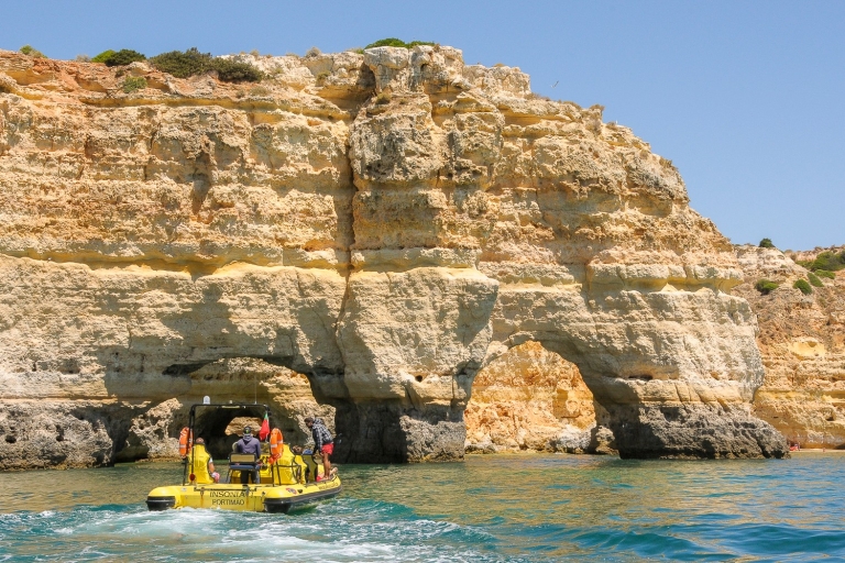 Albufeira: Benagil Caves & Dolphin Watching Speed Boat Tour Group Tour in Spanish and Portuguese