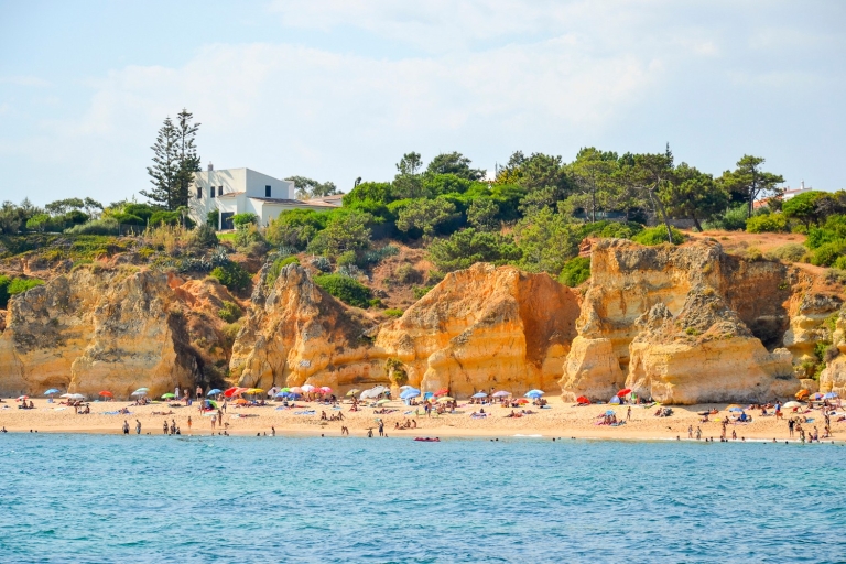 Albufeira: Benagil Caves & Dolphin Watching Speed Boat Tour Private Tour in English, French, Spanish, or Portuguese
