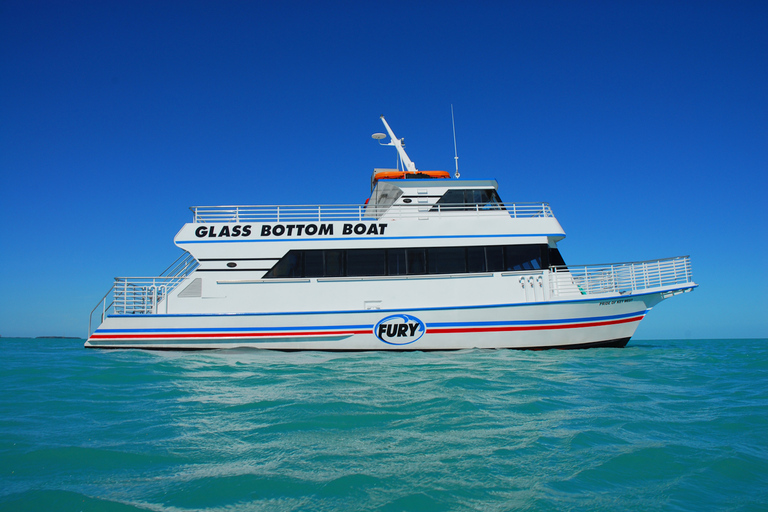 Cayo Hueso: tour ecológico por el arrecife en barco con fondo de cristalTour ecológico en barco con fondo de cristal por los arrecifes de Cayo Hueso