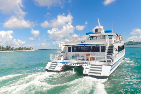 Cayo Hueso: tour ecológico por el arrecife en barco con fondo de cristalTour ecológico en barco con fondo de cristal por los arrecifes de Cayo Hueso