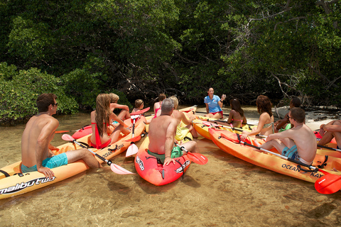 Key West: Inselabenteuer-Öko-Tour