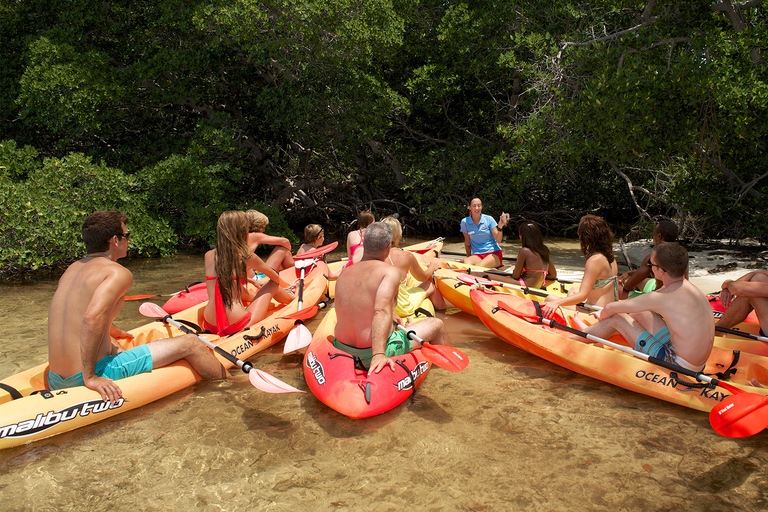 Key West Island Adventure Eco Tour