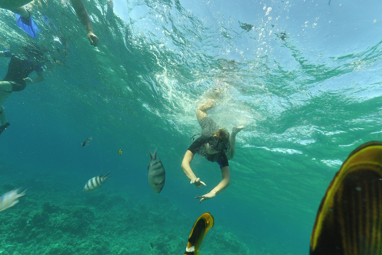 Hurghada: Viagem de mergulho com snorkel em lancha rápida com traslado do hotelHurghada: Lancha privativa para mergulho com snorkel e traslado do hotel