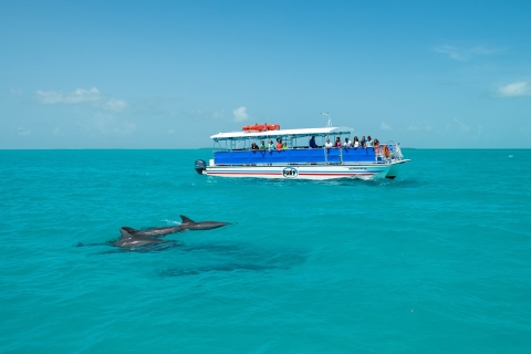 Obserwacja delfinów i snorkeling przy Key West