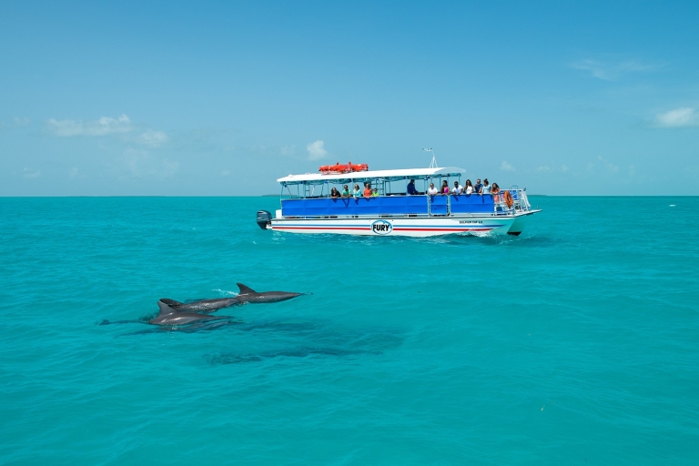 Key West: Delfinbeobachtung und Schnorchel-ÖkotourDelfinbeobachtung & Schnorcheln