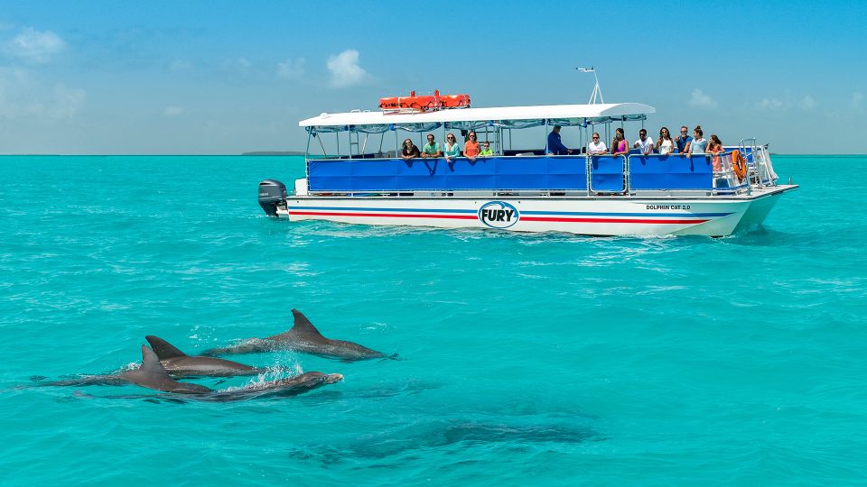  Key West Dolphin Watch and Snorkel Eco Tour 