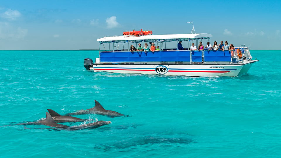  Key West Dolphin Watch and Snorkel Eco Tour 