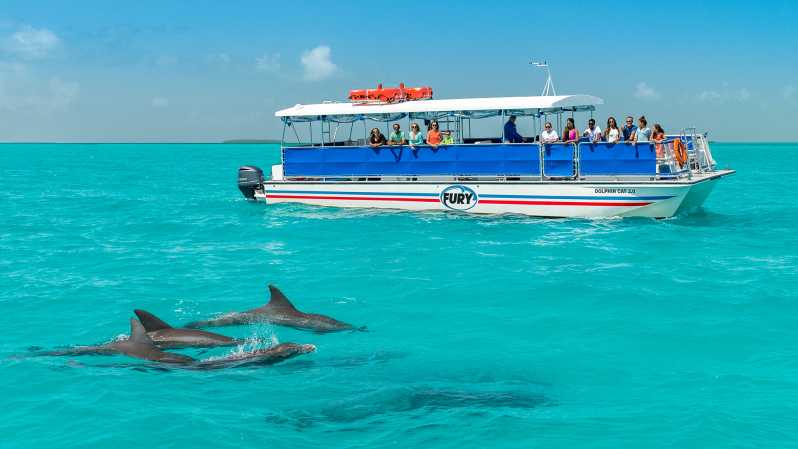 Key West: tour di 1 giorno con snorkeling e dolphin watching