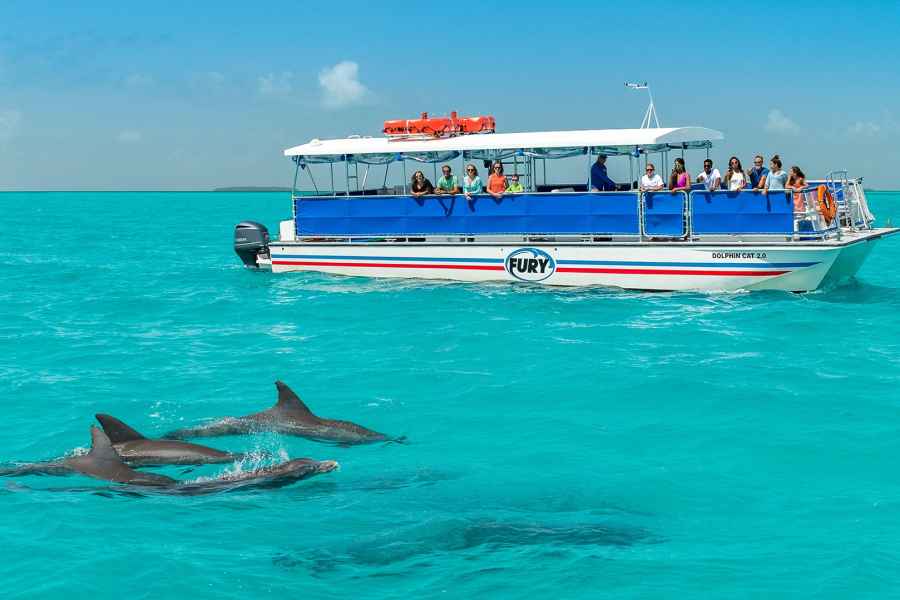 Key West: Delfinbeobachtung und Schnorchel-Ökotour. Foto: GetYourGuide