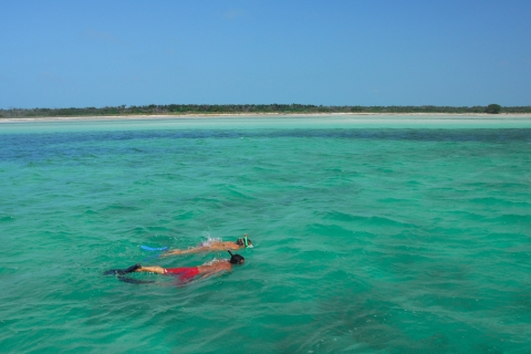 Key West: Delfinbeobachtung und Schnorchel-ÖkotourDelfinbeobachtung & Schnorcheln