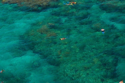Key West: 3-Hour Snorkeling Adventure Morning Departure