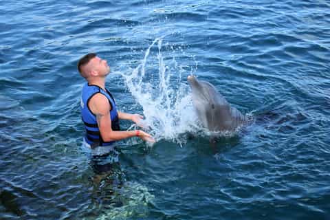 Saint Thomas: Swim with Dolphins at Coral World Ocean Park