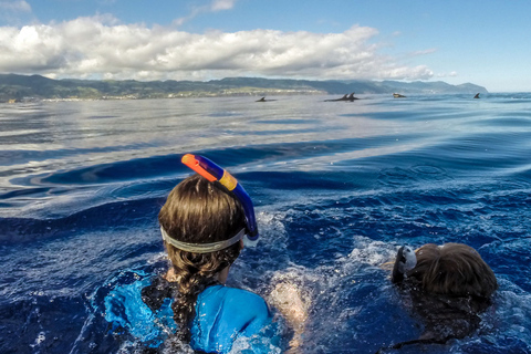 Açores : Nagez avec les dauphins Expérience atlantiqueRetrouvez-nous au port de plaisance