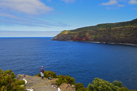 Terceira: visite d'une demi-journée de l'île avec dégustation de fromageOption standard