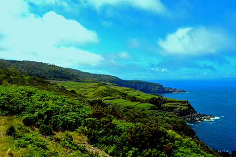 Terceira: visite d'une demi-journée de l'île avec dégustation de fromageOption standard