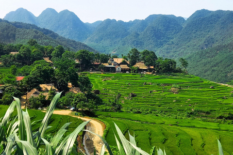 FROM HA NOI: EXPLORE PU LUONG DAY TRIP