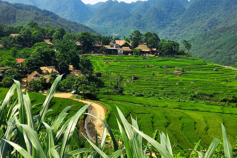 FRÅN HA NOI: UTFORSKA PU LUONG DAGSUTFLYKT