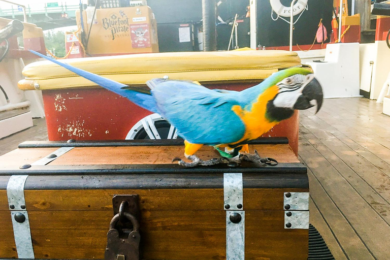 Fort Lauderdale: 1-godzinny rodzinny rejs pirackiWtorek - czwartek: 1-godzinny rodzinny rejs piracki