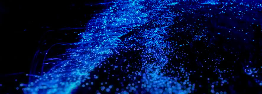 Orlando: Bioluminescence Kayak Tour