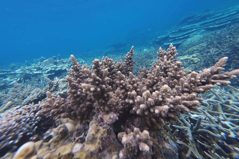 El Nido 2-Day Flexible Island Tour: Shared Tour A & Tour C