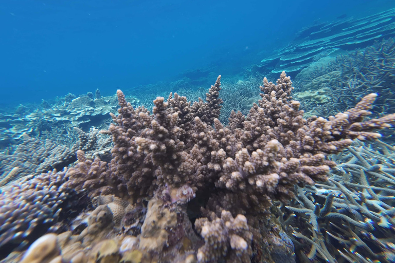 El Nido Combo Tour C + D: Single Booking, Separate Days