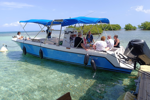 Sainte-Rose: Le Grand Cul-de-Sac Marin + Snorkeling + Meal by the Water Sainte-Rose: the large marine cul-de-sac + snorkeling + waterfront meal