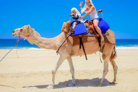 Cabo San Lucas: Combo Camel Ride & Off-Road UTV Adventure