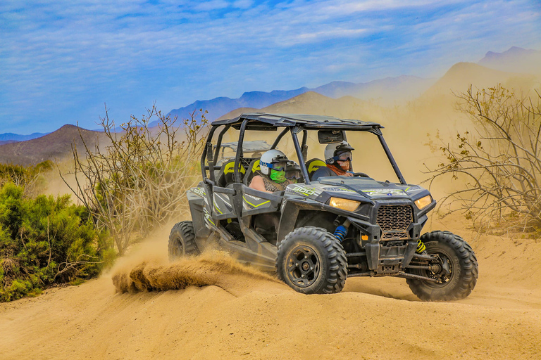 Cabo San Lucas: Passeio de Camelo e Aventura Combo de UTV Off-Road