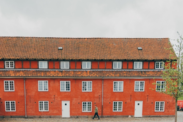 Centro de Copenhague: tour a pie de 2 horas para grupos pequeños