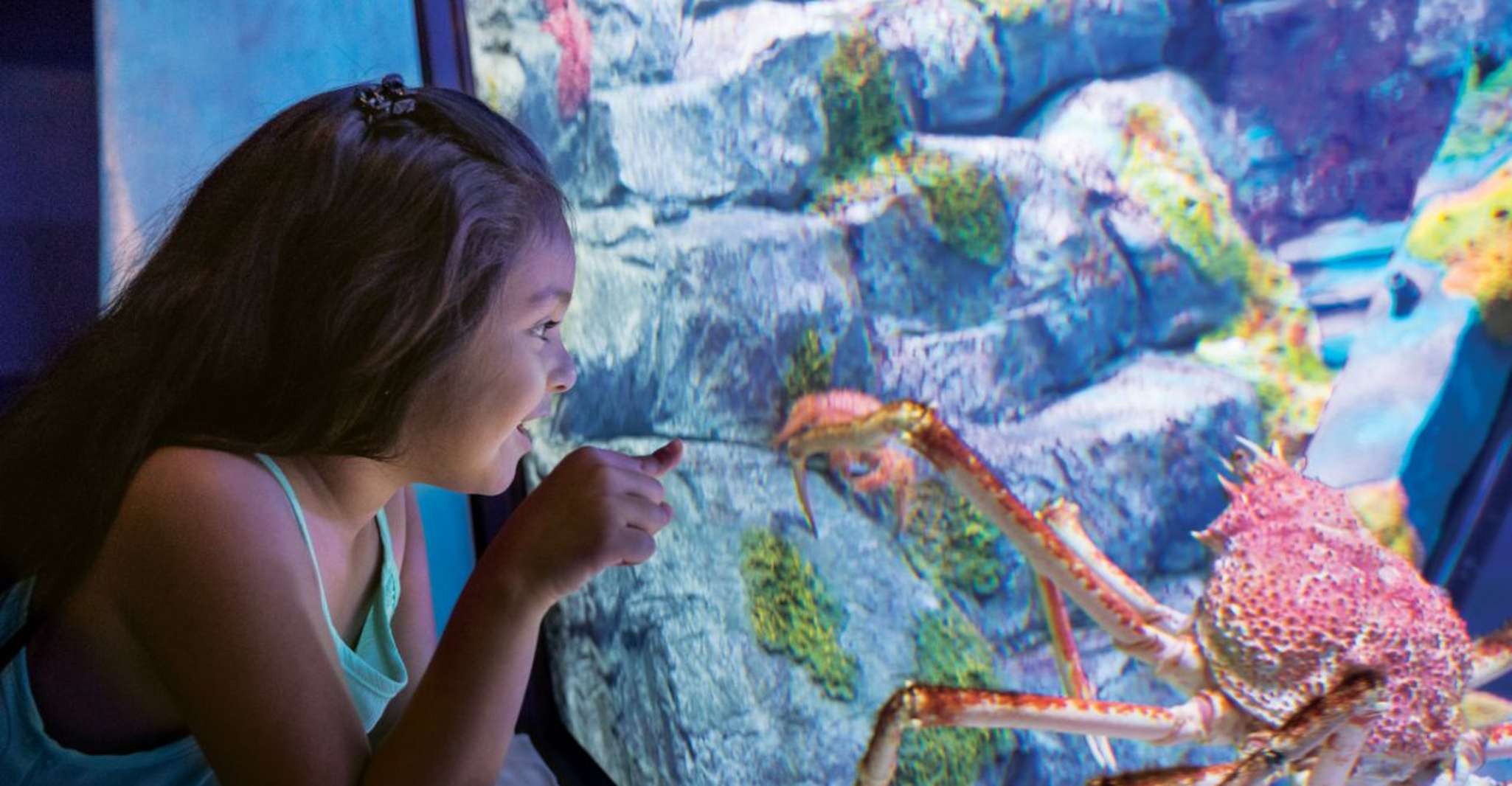 San Antonio: SeaWorld Skip-the-Line Park Admission Ticket photo 7