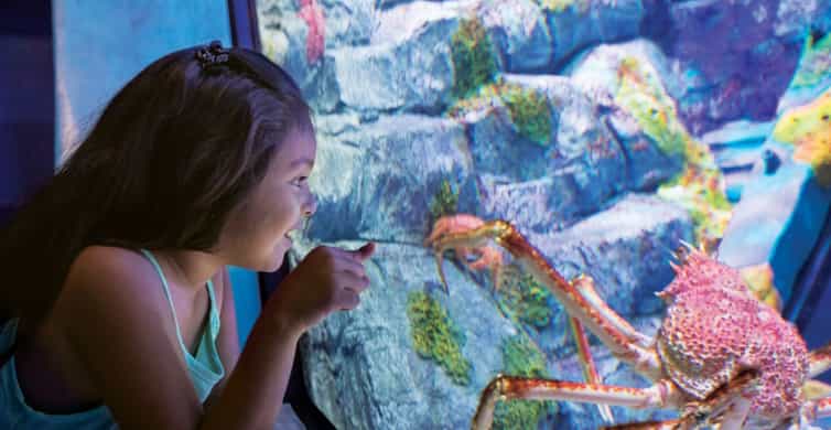 San Antonio: SeaWorld Skip-the-Line Park Admission Ticket photo 7