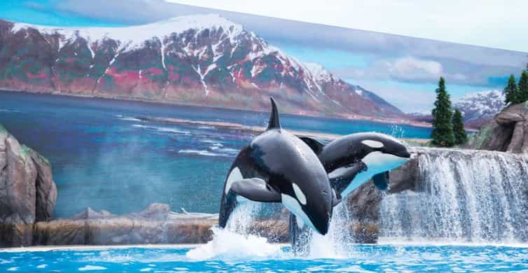 San Antonio: SeaWorld Skip-the-Line Park Admission Ticket photo 14