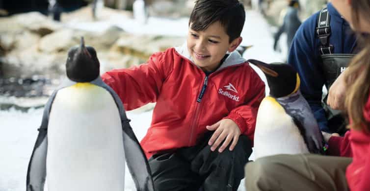 San Antonio: SeaWorld Skip-the-Line Park Admission Ticket photo 11