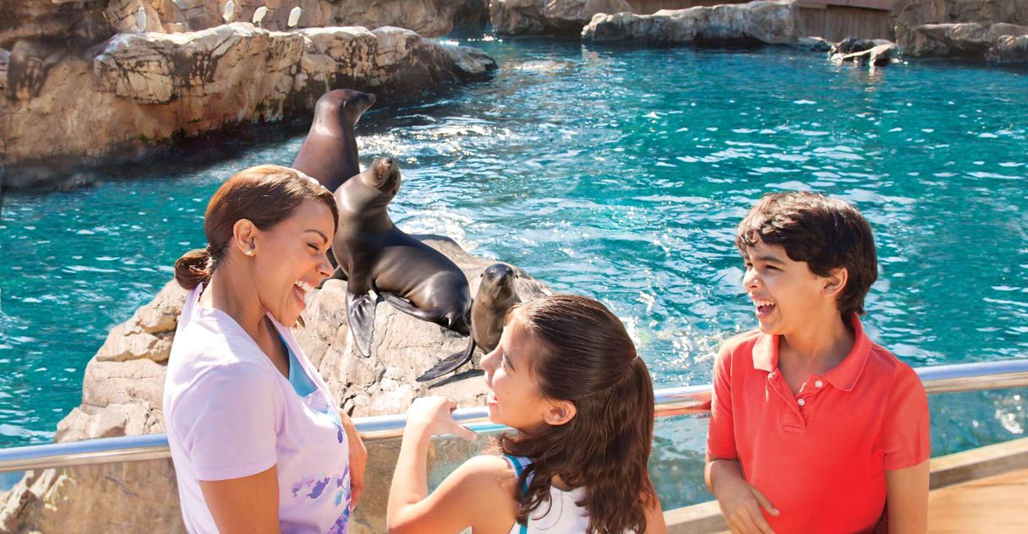 San Antonio: SeaWorld Skip-the-Line Park Admission Ticket photo 5