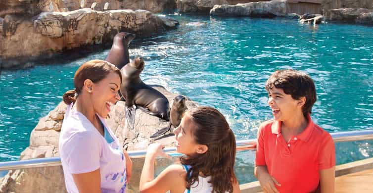 San Antonio: SeaWorld Skip-the-Line Park Admission Ticket photo 5