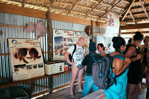 Bayahibe: Saona Island VIP Tour with Lunch & Drinks