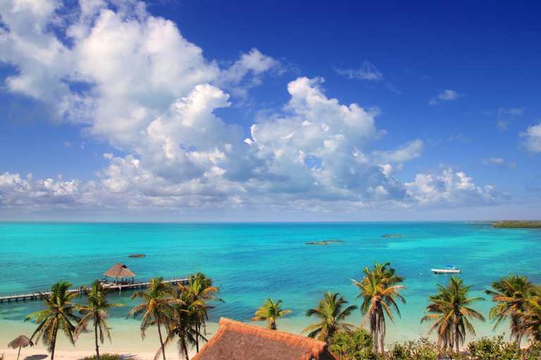 Isla Contoy und Isla Mujeres: Tour mit Transfer-OptionenTour ab Cancún