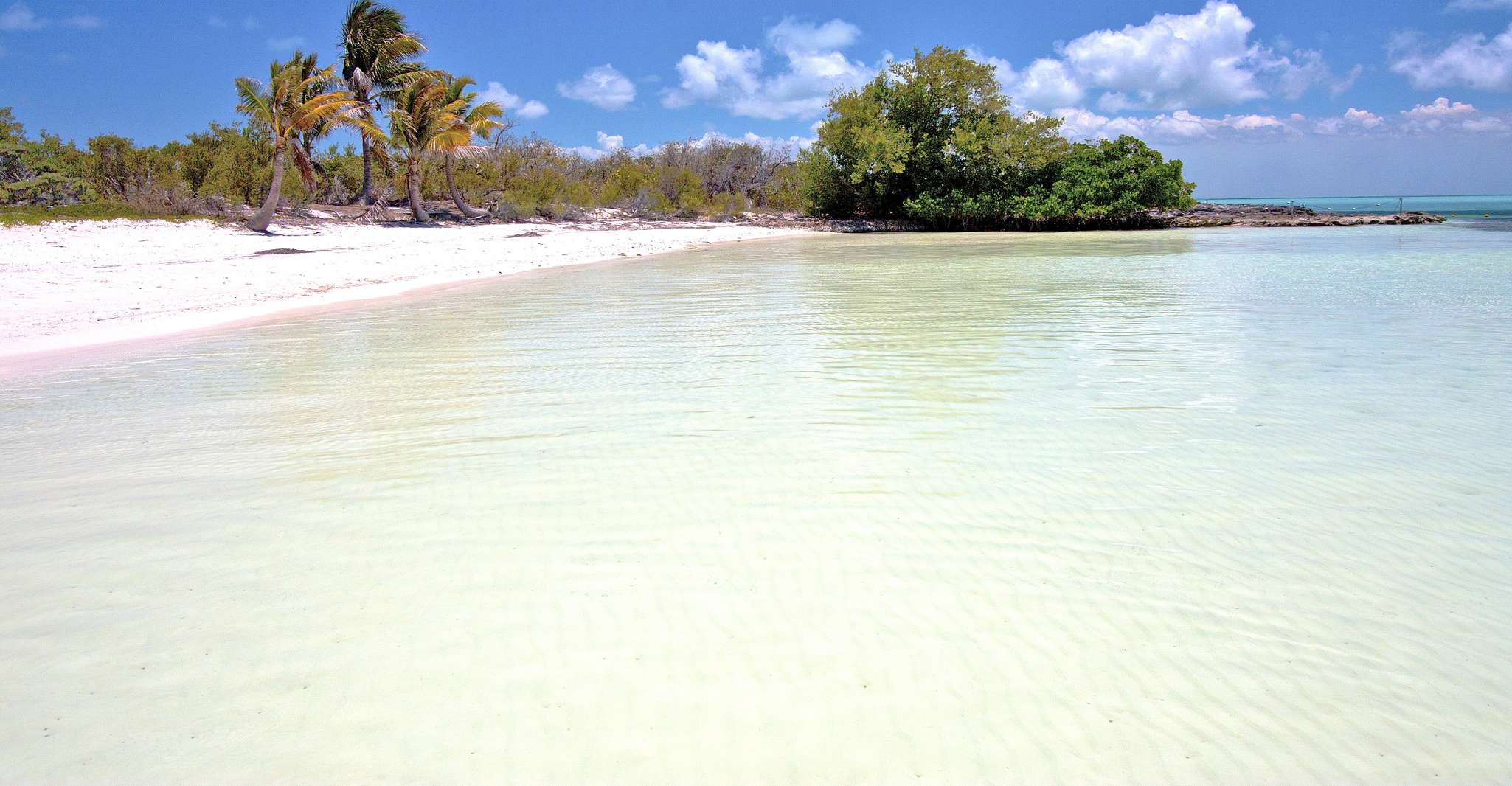 Contoy and Mujeres Islands Tour with Transfer Options - Housity