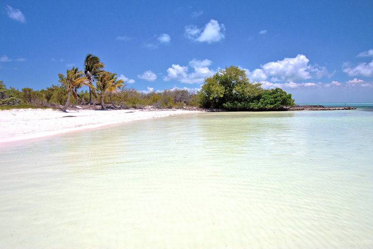 Isla Contoy och Isla Mujeres med transferalternativFrån Playa del Carmen