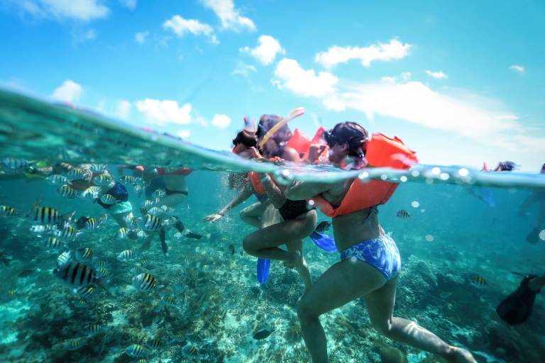 Cancún/Riviera Maya: tour de esnórquel a Isla MujeresTour desde Playa del Carmen, Puerto Morelos y Playa Paraíso