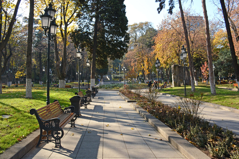 Tbilisi: Walking Tour From USSR to the 1st Female President