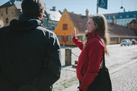 Copenhague: visite culturelle Hygge et bonheur en petit groupe