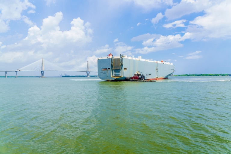 Charleston: Sightseeingtour durch den Hafen und DelphinbeobachtungAbfahrt am Patriots Point: 1,5-stündige Hafenrundfahrt durch Charleston