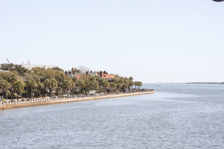 Charleston : Visite touristique du port et observation des dauphinsDépart de Patriots Point : 1,5 heure de visite du port de Charleston