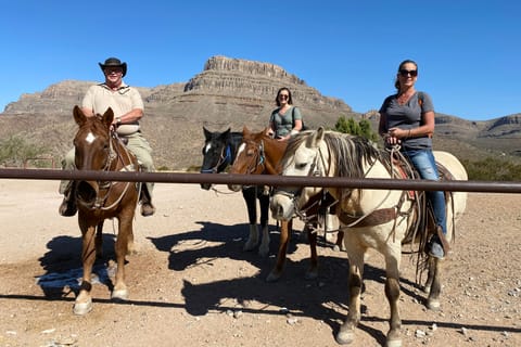 Las Vegas: Joshua Tree Forest Horseback Ride with Lunch